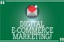 E-commerce Marketing Services for Guaranteed Digital Marketplace Growth