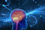 From Slovenia to Super Intelligence: How .SI Became a Global Domain Trend Overnight 